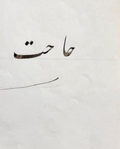 photo_5895286700949748814_x