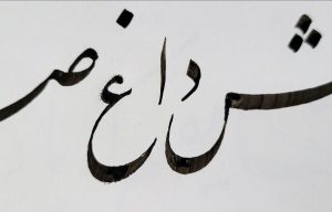 photo_5895286700949748843_y